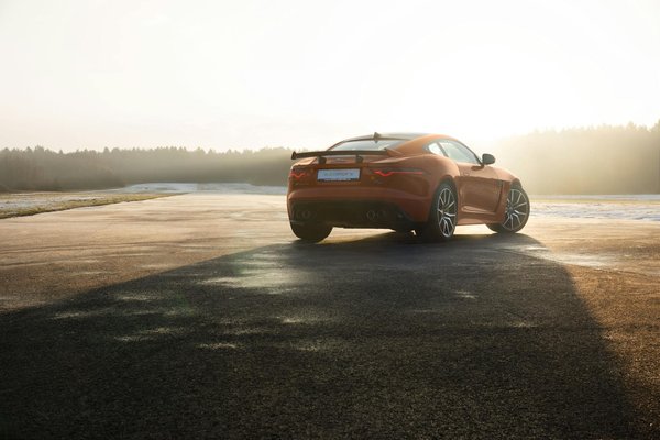 Descubre al especialista en luces e iluminación ideal para ti