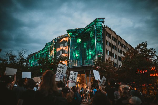 ¿Qué tipo de alimentación es más adecuada para un gato con problemas dentales?
